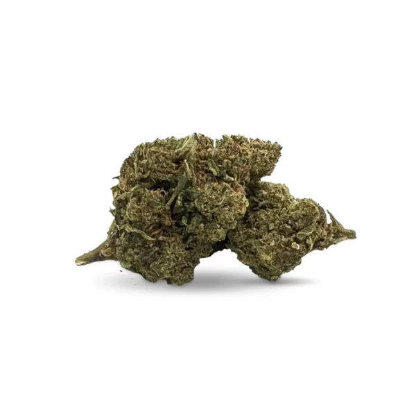 10-oh buds mimosa
