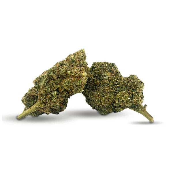 10-oh buds mr nice