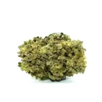 Dr Smoke Master Kush CBD buds – 2g (Greenhouse)
