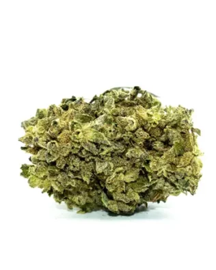 Dr Smoke Master Kush CBD buds – 2g (Greenhouse)