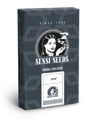 Big Bud Automatic Seeds – 5 seeds