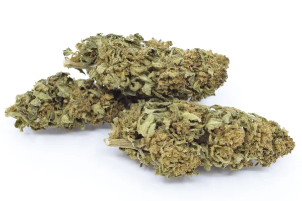 cbd flower amnesia
