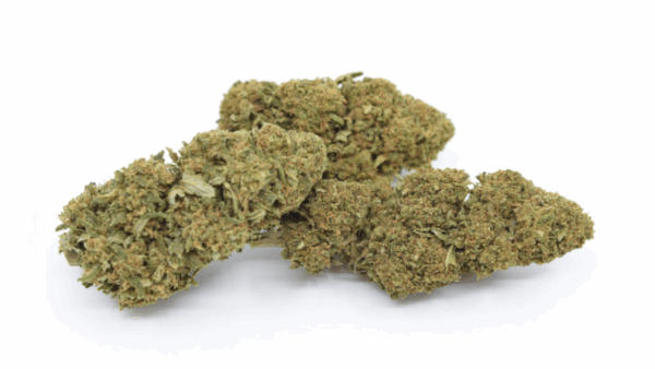 cbd flower biscotti