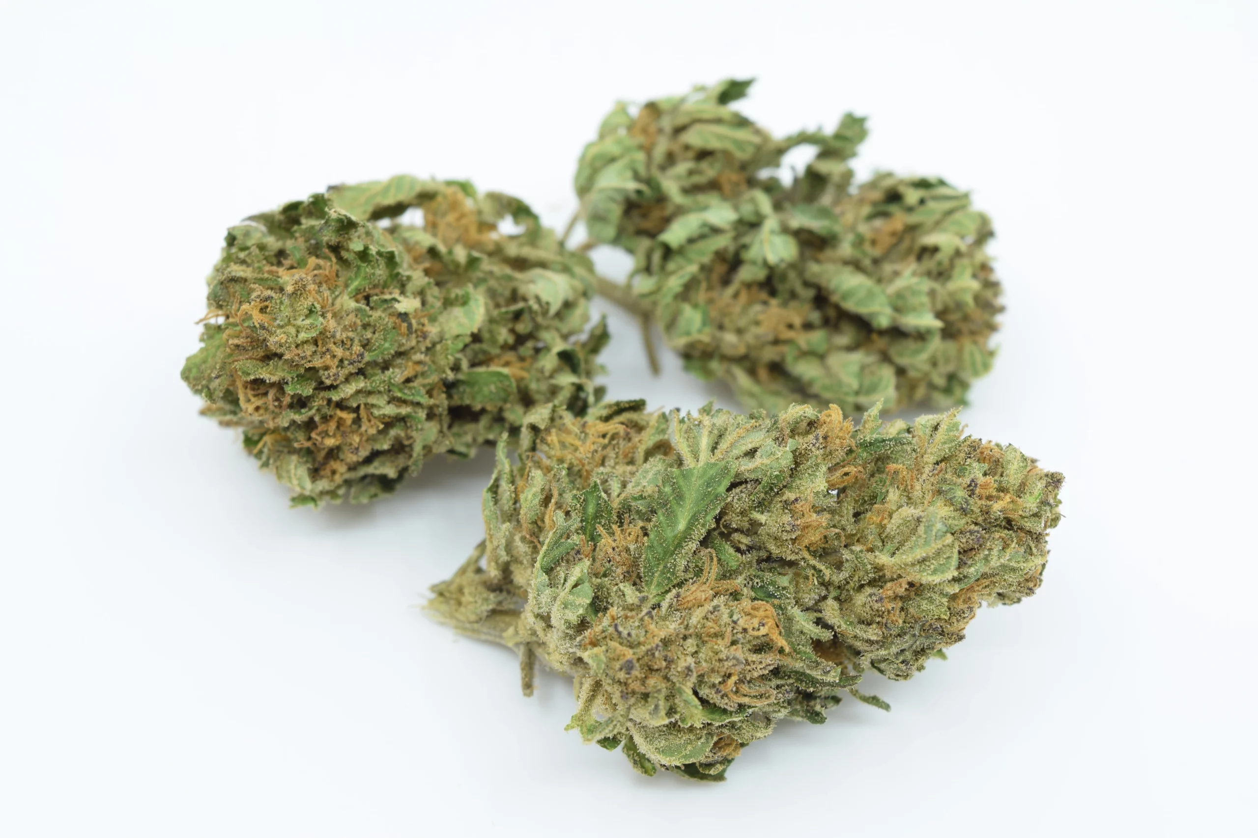 cbd flower harlequin