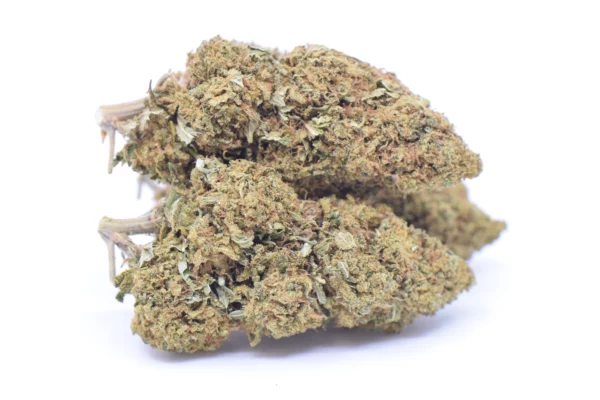 cbd flower powerplant