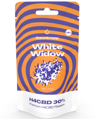 Canntropy H4CBD Flower White Widow – 30 %